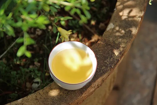 普洱茶越苦澀就代表品質(zhì)越好嗎？