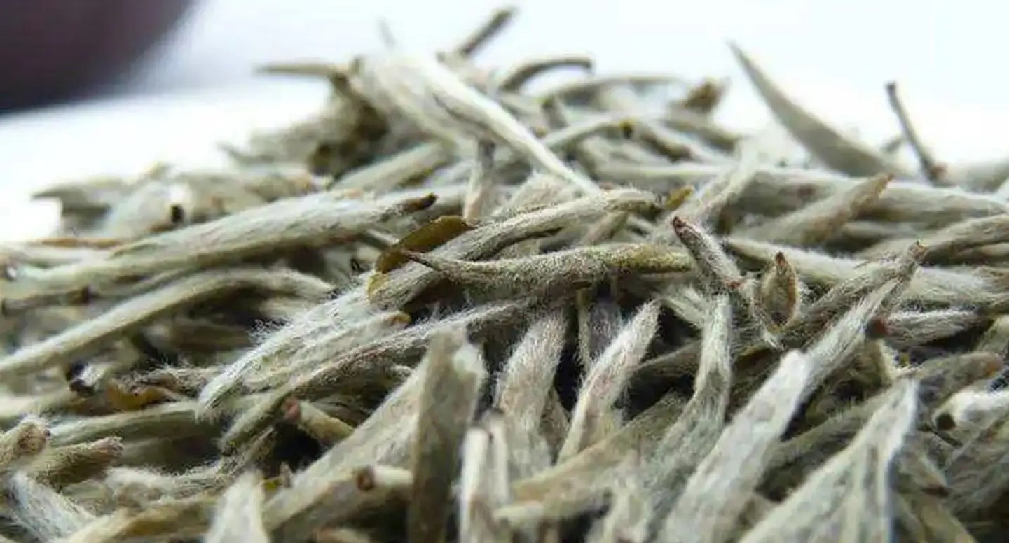 茶毫越多的茶，品質(zhì)就越高嗎？