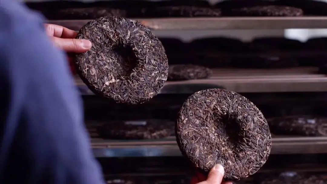 喝茶人都關心的普洱熟茶4大超核心問題！