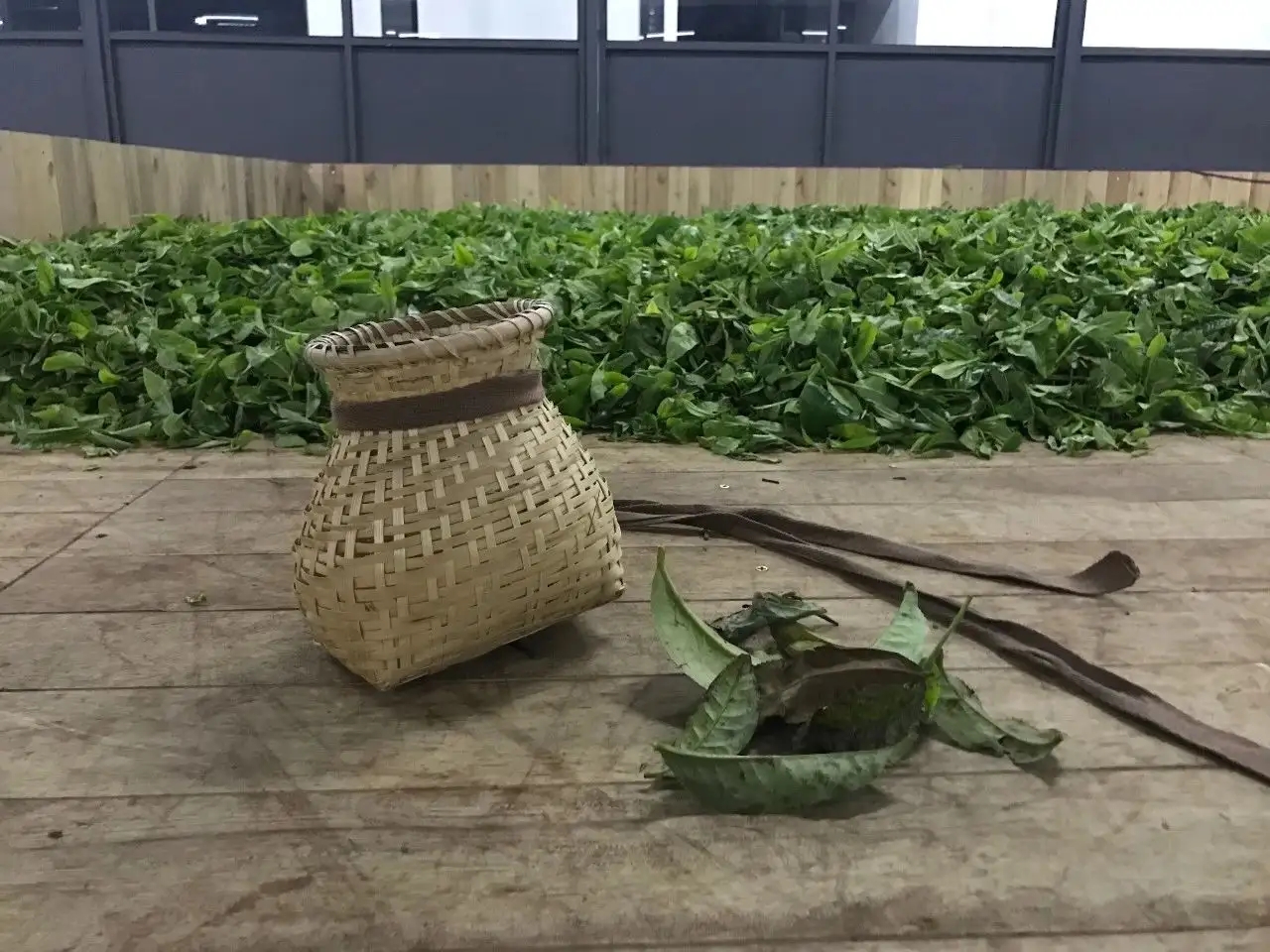 普洱茶，如果不談山頭，我們談什么？