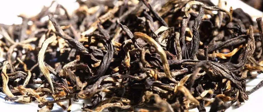 什么是茶氣？茶氣強(qiáng)勁又是一種怎樣的體驗(yàn)？