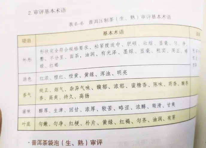 活學(xué)活用 ，一學(xué)就會(huì)的普洱茶口感術(shù)語