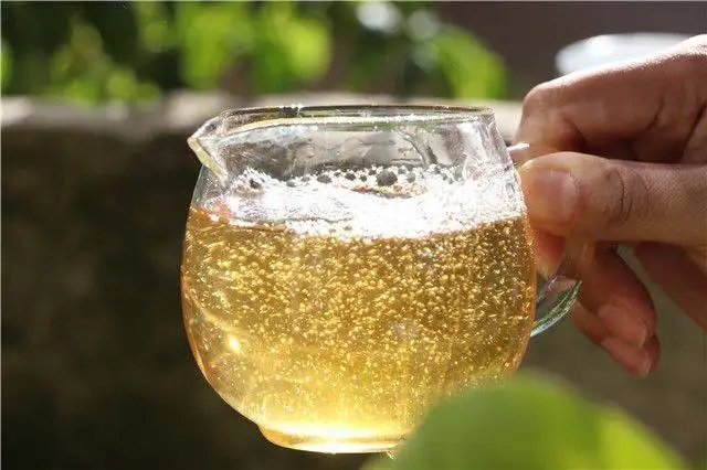 茶顏觀色”，看普洱茶條索里都蘊(yùn)含著怎樣的“密碼”？