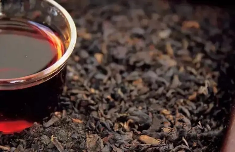 普洱生茶與熟茶那個減肥效果好？