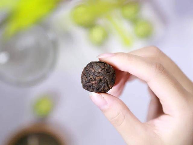 與你一起全面了解“龍珠”普洱茶