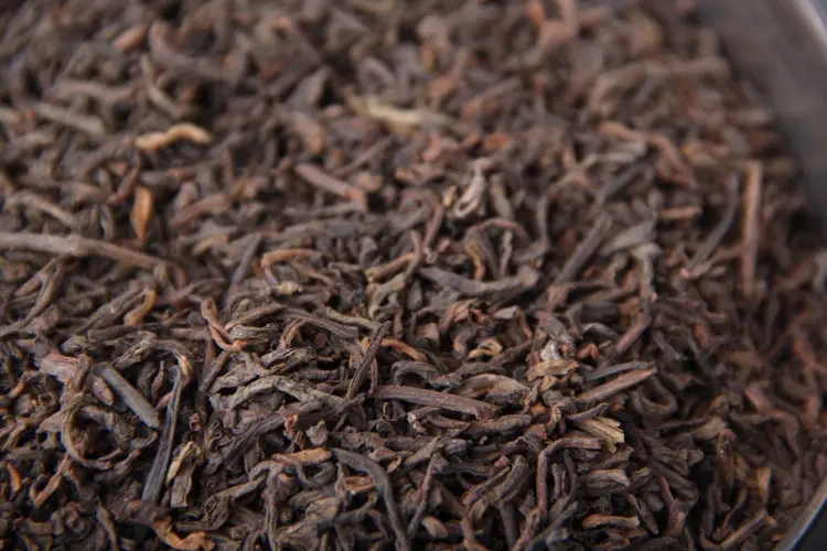 品懂熟茶丨新制的熟茶怎么品評(píng)？