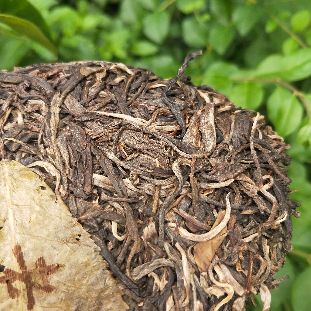 2023年班盆古樹(shù)春茶多少錢(qián)一公斤？