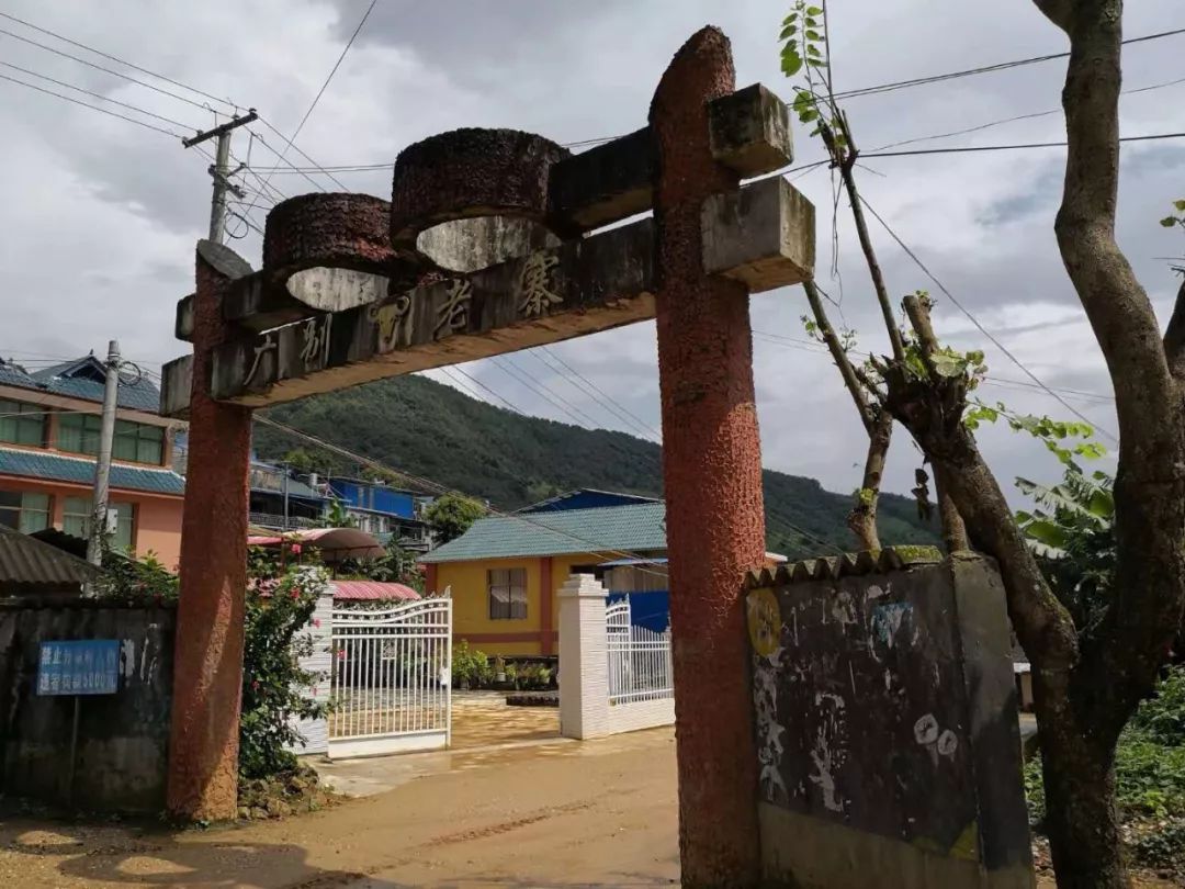 2023年廣別老寨古樹(shù)春茶價(jià)格多少？