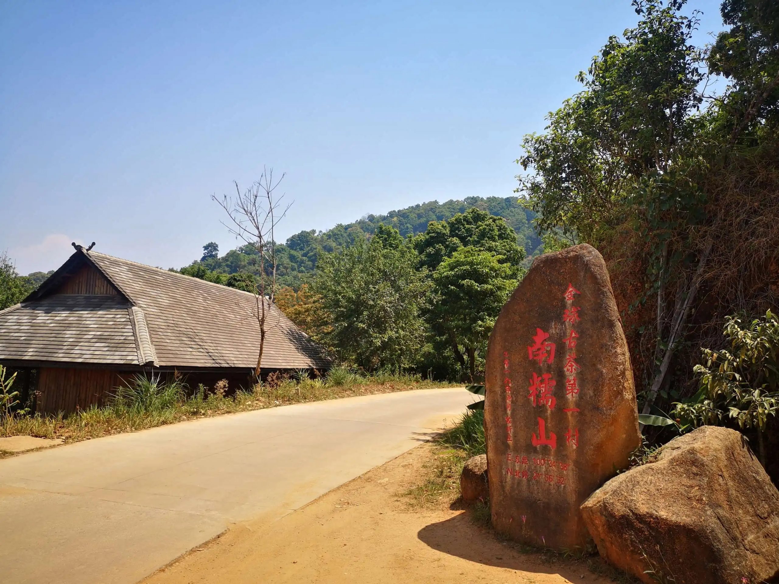 2023年南糯山古樹春茶品質怎么樣？