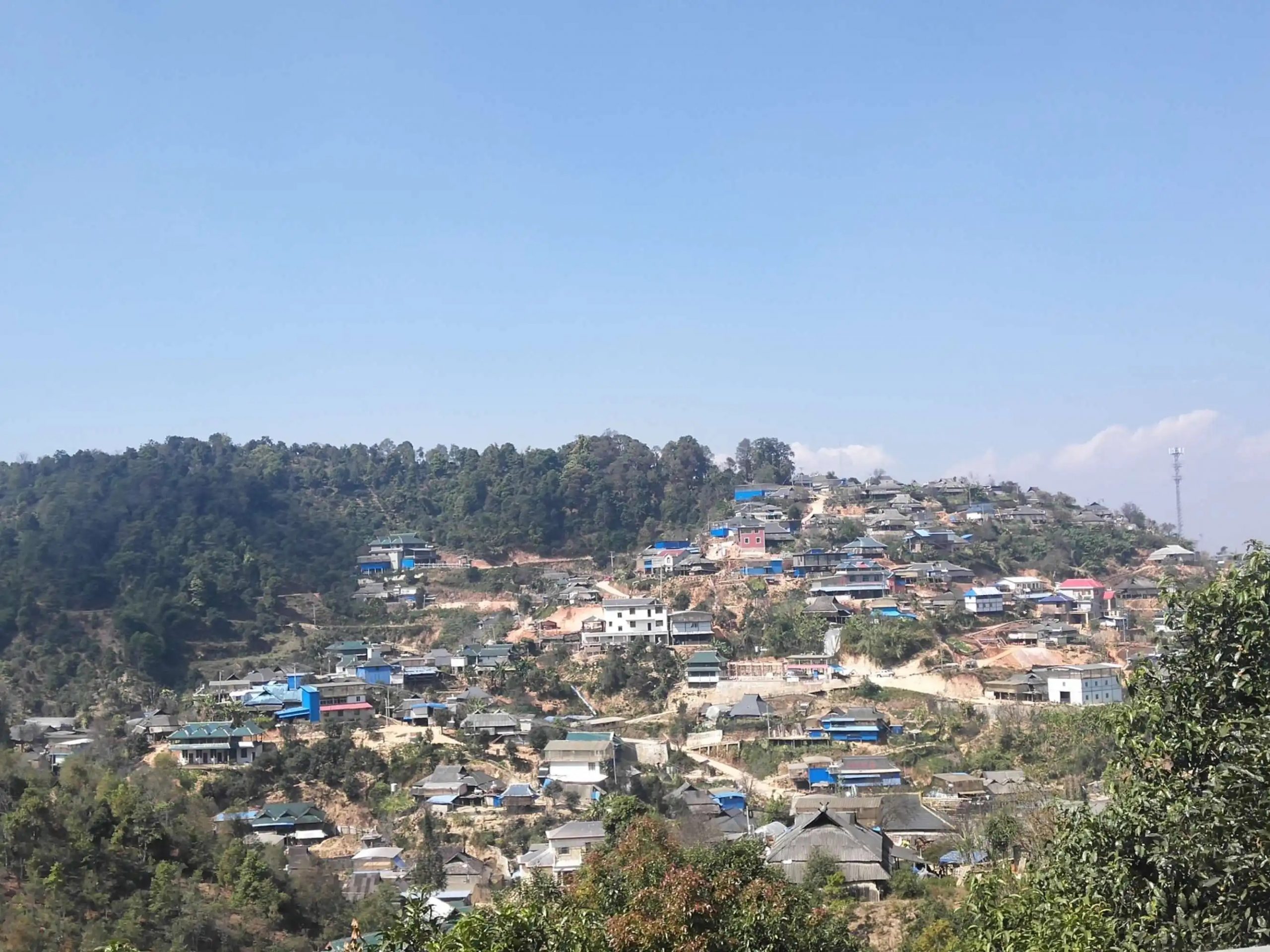 2023年帕沙古樹春茶品質(zhì)如何？