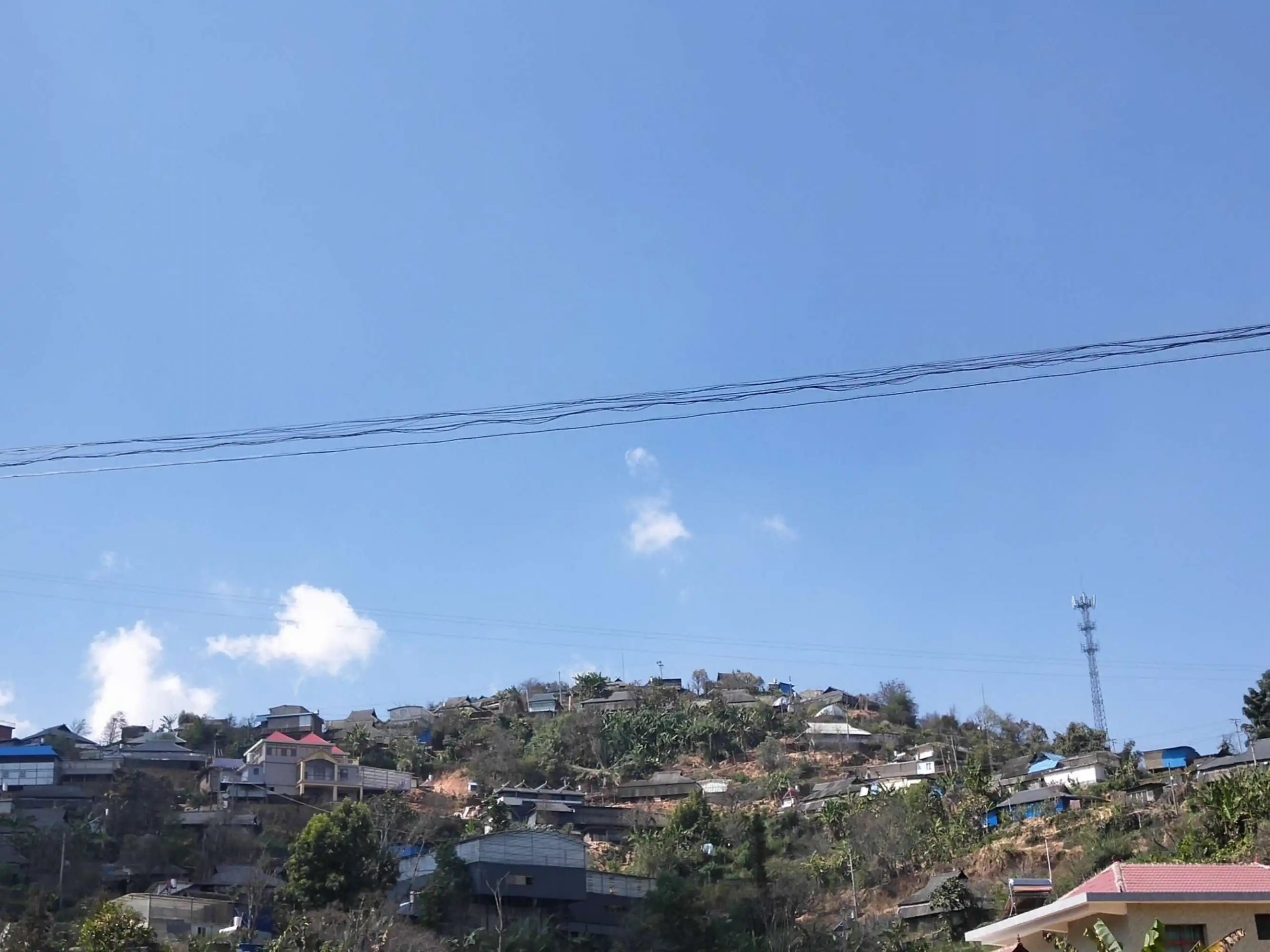 2023帕沙古樹春茶特點是什么？