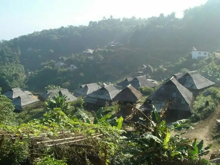 2023年帕沙古樹春茶多少一公斤？