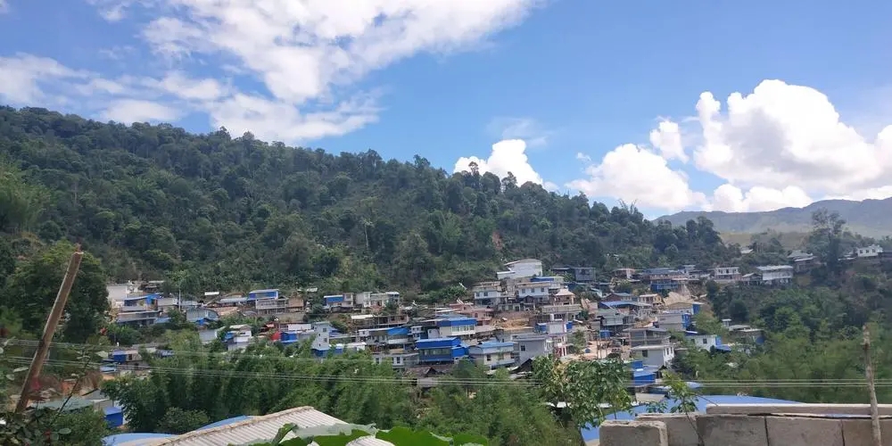 2023年那卡古樹春茶品質(zhì)如何？