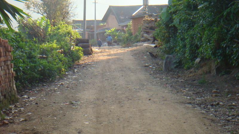 2023年保塘老寨古樹春茶價(jià)格是多少？