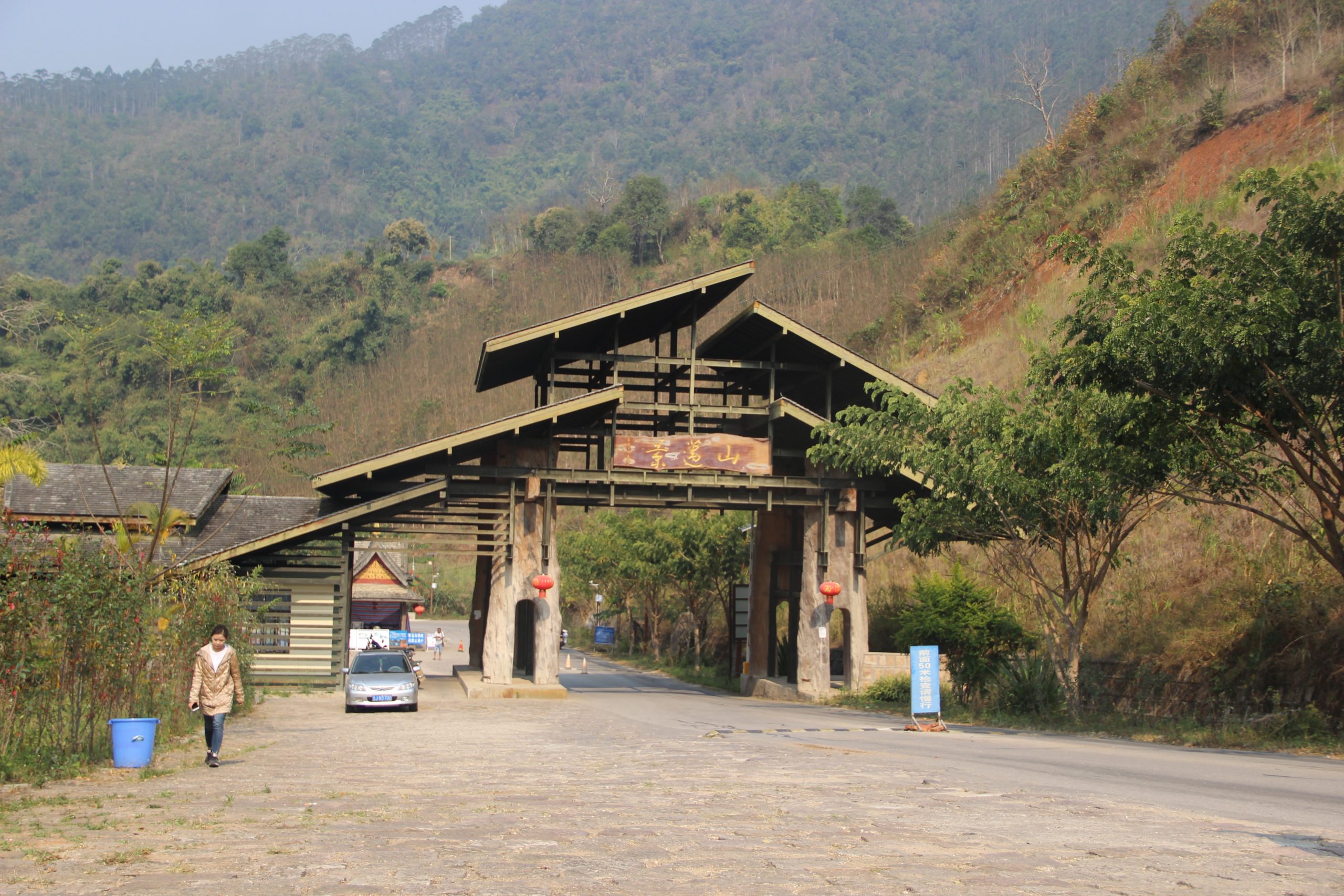 2023年景邁古樹春茶口感如何？