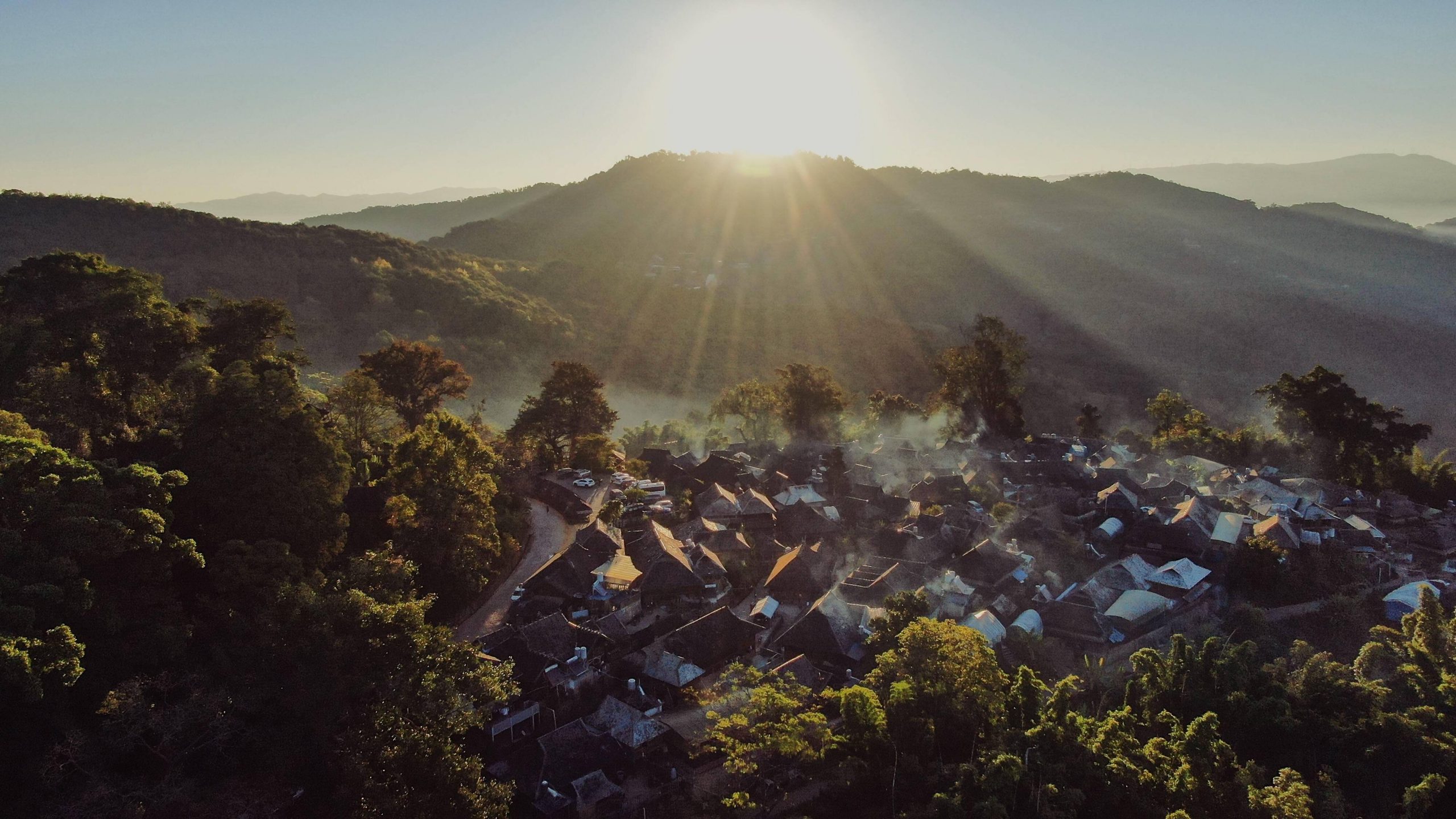 2023年景邁古樹春茶多少錢一公斤？