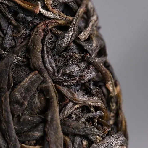 2023年迷帝古樹春茶價格是多少？