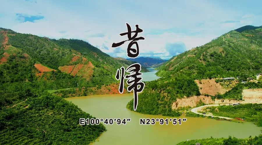 2023年昔歸古樹春茶品質如何？