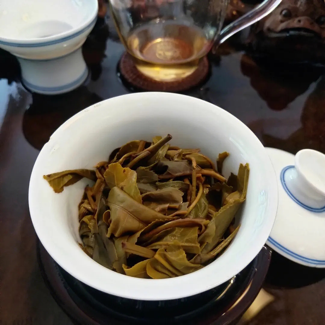 2023年昔歸古樹春茶口感如何？