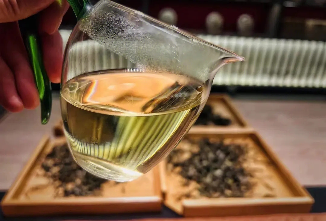 2023年鳳凰窩古樹春茶價格是多少？