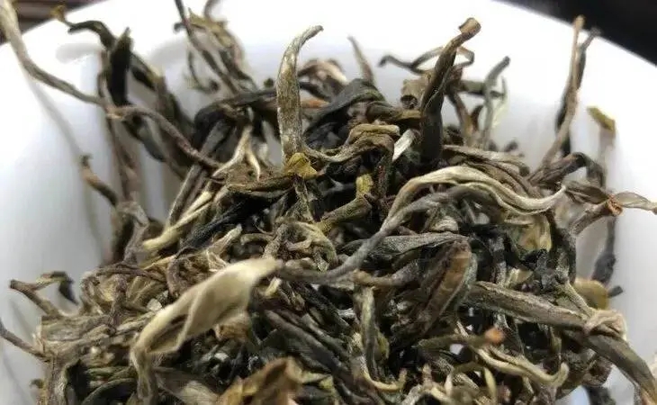 2023年鳳凰窩古樹春茶多少一公斤？