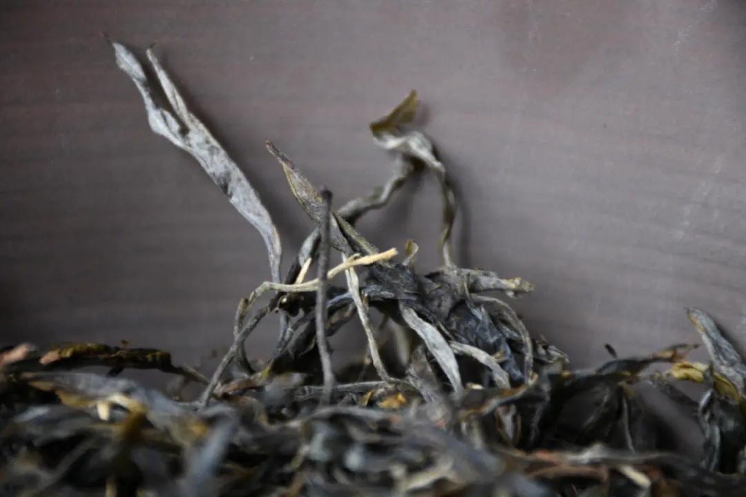 2023年正氣塘古樹春茶多少一公斤？