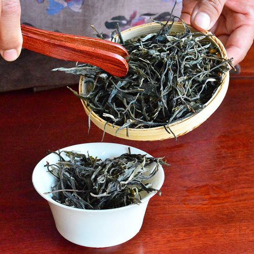 2023年地界古樹春茶口感是什么？