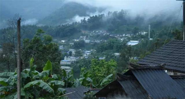 2023年勐庫(kù)豆腐寨古樹(shù)春茶口感怎么樣？