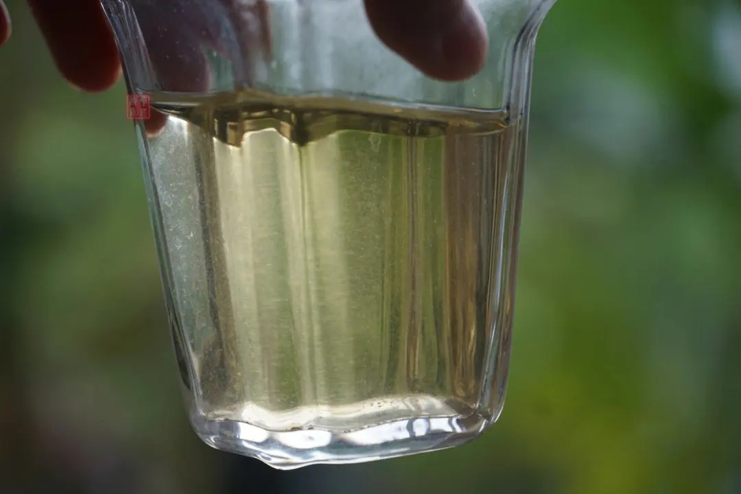 2023年多依樹古樹春茶價格是多少？