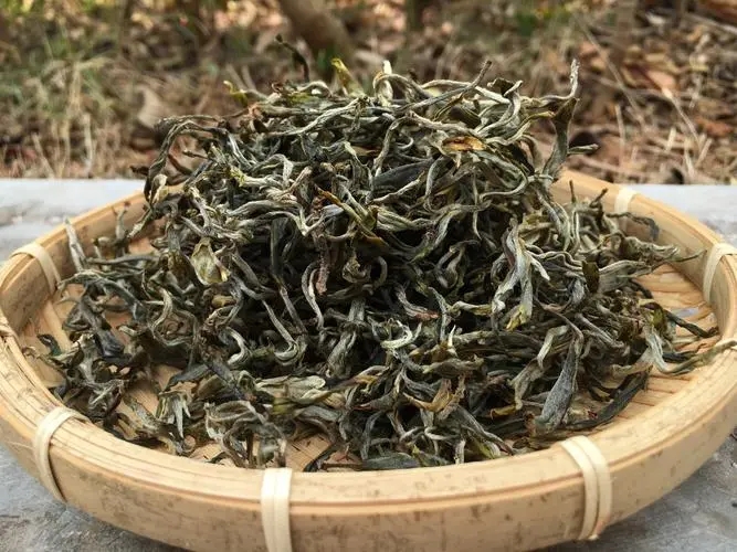 2023年易武張家灣古樹春茶品質(zhì)如何？