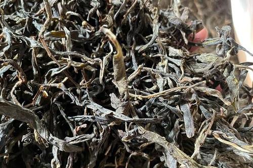 2023年鎮(zhèn)沅老烏山古樹春茶多少一公斤？