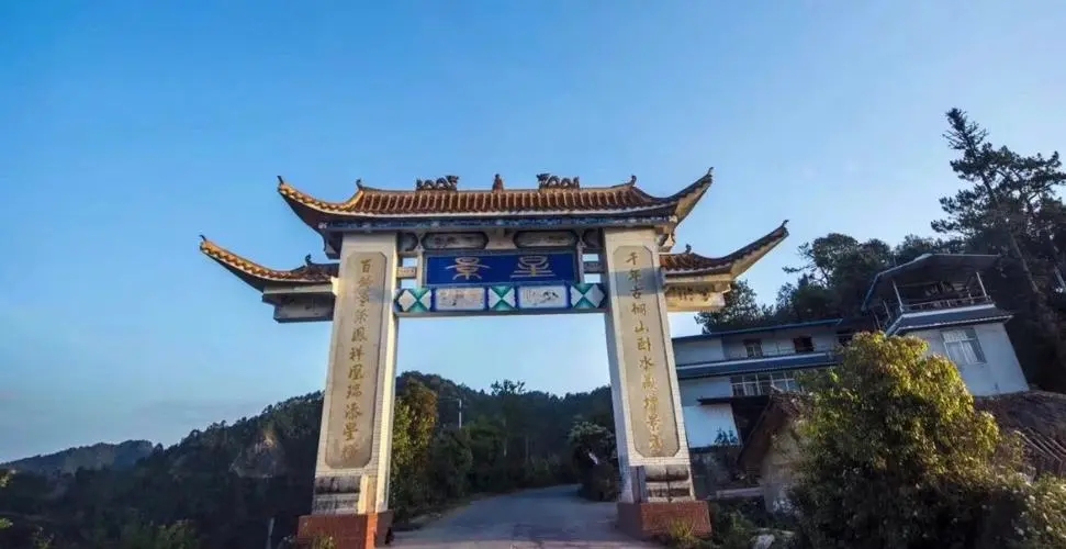 2024年墨江鳳凰窩古樹春茶特點是什么？