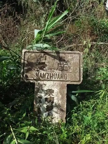 2025年蠻磚古樹春茶特點是什么？