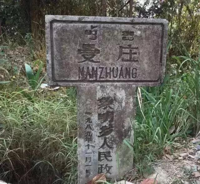 2025年蠻磚古樹春茶價(jià)格是多少？