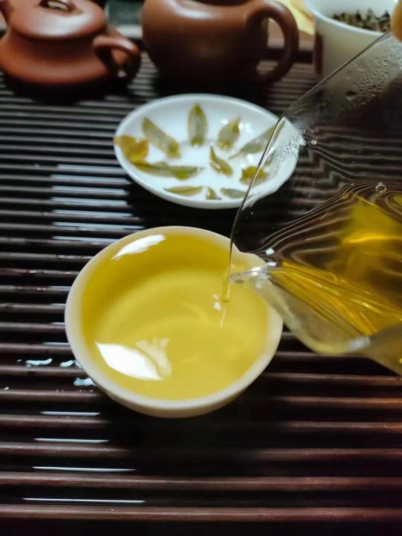 倚邦貢茶，甘甜醇柔